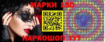 тгк Кудрово