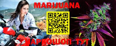 тгк Кудрово
