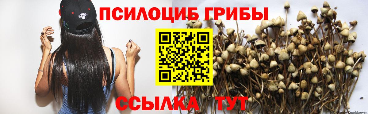 Галлюциногенные грибы MAGIC MUSHROOMS Ачинск